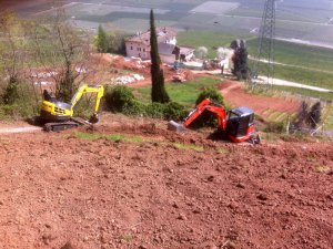 Weinberganlage in Kurtatsch