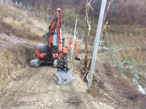 Rodung eines Waldes