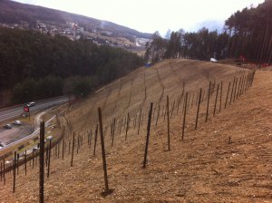 Lanz Brixen