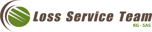 Loss Service Team